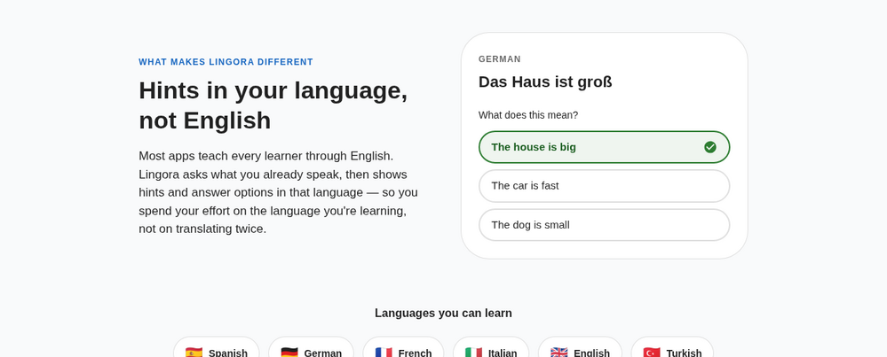 Lingora — Language Learning